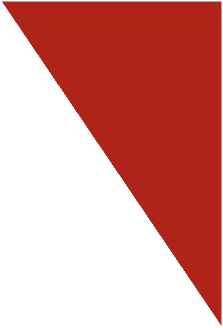 Pravo�hl� troj�heln�k: 