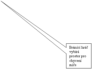 Obdlnkov popisek: Brnc hr vybr prostor pro chycen me


