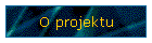 O projektu