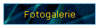 Fotogalerie